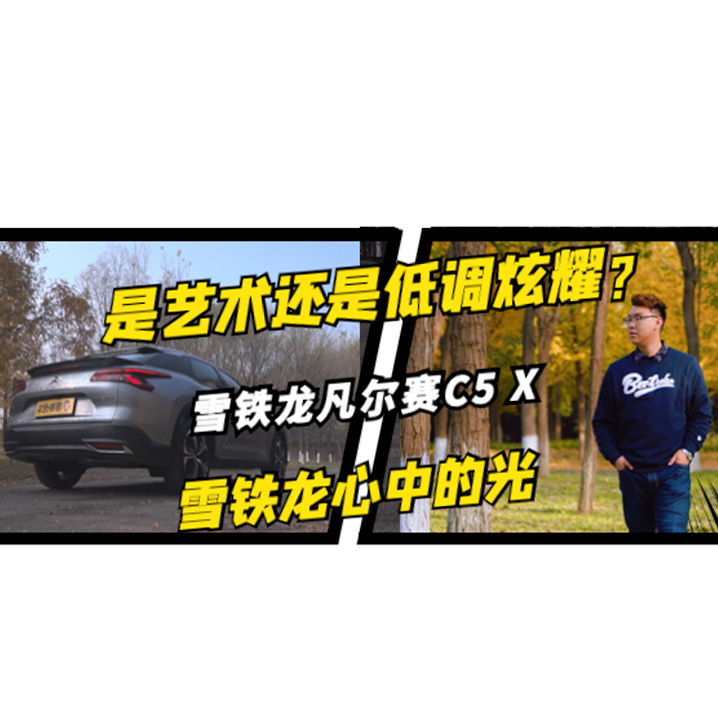 是艺术还是低调炫耀？雪铁龙凡尔赛C5 X#有颜有趣#幽默短剧