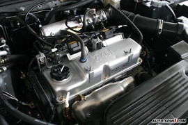 幸福版海福星实拍