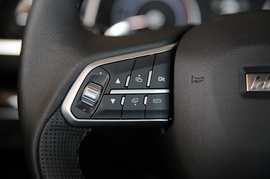 全新哈弗H6 红标 2.0T 自动两驱智尚型