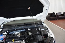 2013款大众速腾1.4TSI DSG蓝驱版