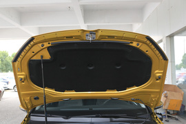 2018款 大众 高尔夫 230TSI 自动舒适型
