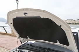 2018款力帆650EV 豪华型