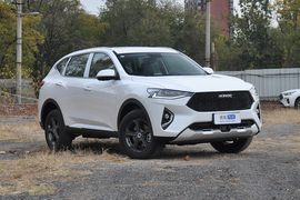 2019款哈弗F7 1.5T 两驱i型