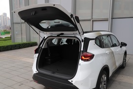 2019款 沃兰多 530T 自动米奇定制版(5+2款)