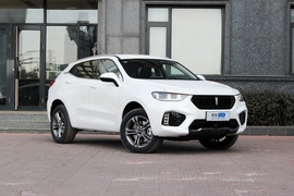 2019款WEY VV5 2.0T 两驱终结版