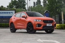 2019款WEY VV5 1.5T 两驱倾橙限量版