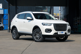 2020款哈弗H6 1.5GDIT 自动铂金豪华版