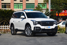 2020款广汽传祺GS8 390T 两驱豪华智联版 7座