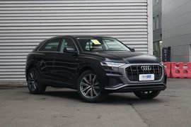 2019款奥迪Q8 45TFSI 臻选动感型