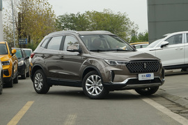 2019款奔腾T33 1.6L 自动豪华型  国V