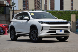 2020款星途LX 乘风破浪版 1.5T CVT星耀版
