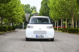 2020款 欧拉白猫 401km 旗舰型