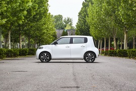 2020款 欧拉白猫 401km 旗舰型