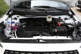 2021款奇瑞瑞虎3x PLUS 1.5L CVT痛快红枣版