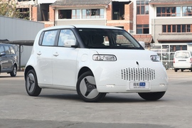 2020款 欧拉白猫 360km 豪华型