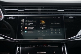 2021款 奥迪Q8 55 TFSI 暗夜骑士限量版