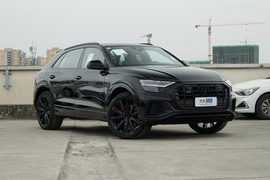 2021款 奥迪Q8 55 TFSI 暗夜骑士限量版