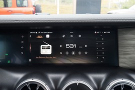 2021款 WEY坦克300 2.0T 越野版 挑战者