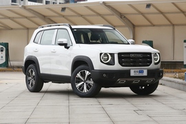 2021款 哈弗大狗 1.5T DCT拉布拉多版