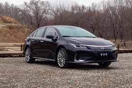 2021款一汽丰田亚洲狮 2.0L旗舰版