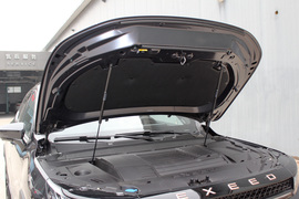 2021款星途LX 1.6T DCT凡尔赛版1.6T DCT星睿版