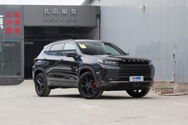 2021款星途LX 1.6T DCT凡尔赛版1.6T DCT星睿版