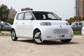 2020款 欧拉白猫 360km 标准型