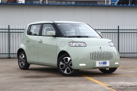 2020款欧拉白猫 305KM 豪华型