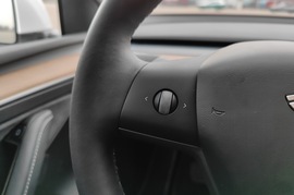 2022款特斯拉MODEL Y 长续航全轮驱动版