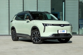 2021款威马W6 520km ACE极智版 改款