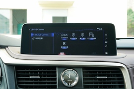 2021款雷克萨斯RX 300 四驱特别版