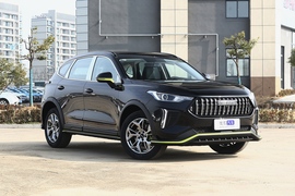 2022款哈弗赤兔 劲享版 1.5T 黄铜兔