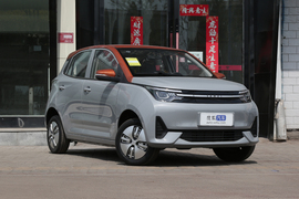 2022款雷丁芒果 200标准版