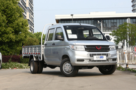 2021款五菱荣光新卡 1.8L基本型双排双后轮LJ479Q6