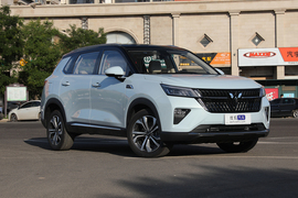 2022款五菱星辰 2.0L DHT 电速款
