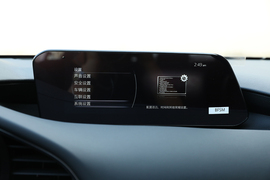 2022款马自达3 昂克赛拉 2.0L 自动质睿黑曜版