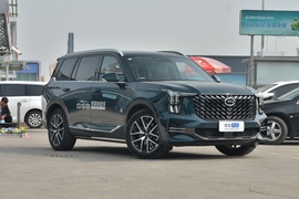 2022款传祺GS8 领航系列 2.0TGDI 两驱尊贵版（七座）