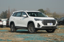 2023款捷途X90 PLUS 1.5T 手动洋房 7座
