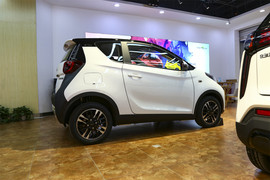 2023款奇瑞小蚂蚁301km真爱Plus 4座