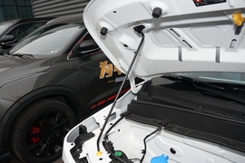 2023款吉利熊猫mini 新春版宝藏熊