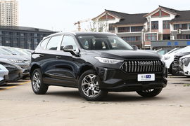 2023款哈弗赤兔 1.5T 卓越型