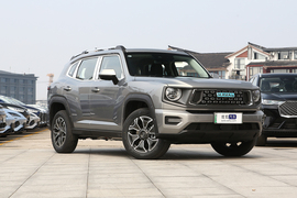 2023款哈弗二代大狗新能源 DHT-PHEV 105km 潮电版Plus