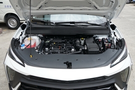 2024款东风风行T5 EVO 狂飚版 1.5TD DCT 铂金款