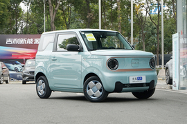 2023款吉利熊猫mini 120km 萌萌熊