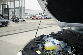 2024款东风风神 SKY EV01 440km 真香版