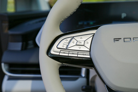 2024款东风风行星海V9 1.5TD 200km中国结系列尊享型