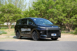 2024款东风风行星海V9 1.5TD 200km中国结系列尊享型