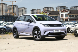 2024款比亚迪海豚 荣耀版 420km 自由版