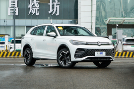 2024款大众途观L PRO 330TSI 两驱R-Line智尊版