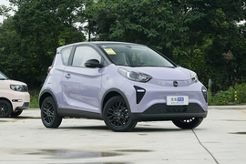 2024款奇瑞新能源小蚂蚁 青春版 321km 钟爱Pro版 29.23kWh